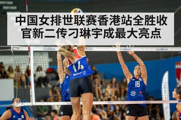volleyball match