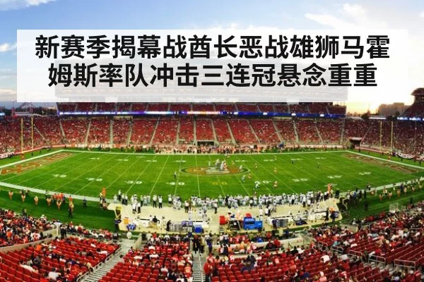 NFL stadium action